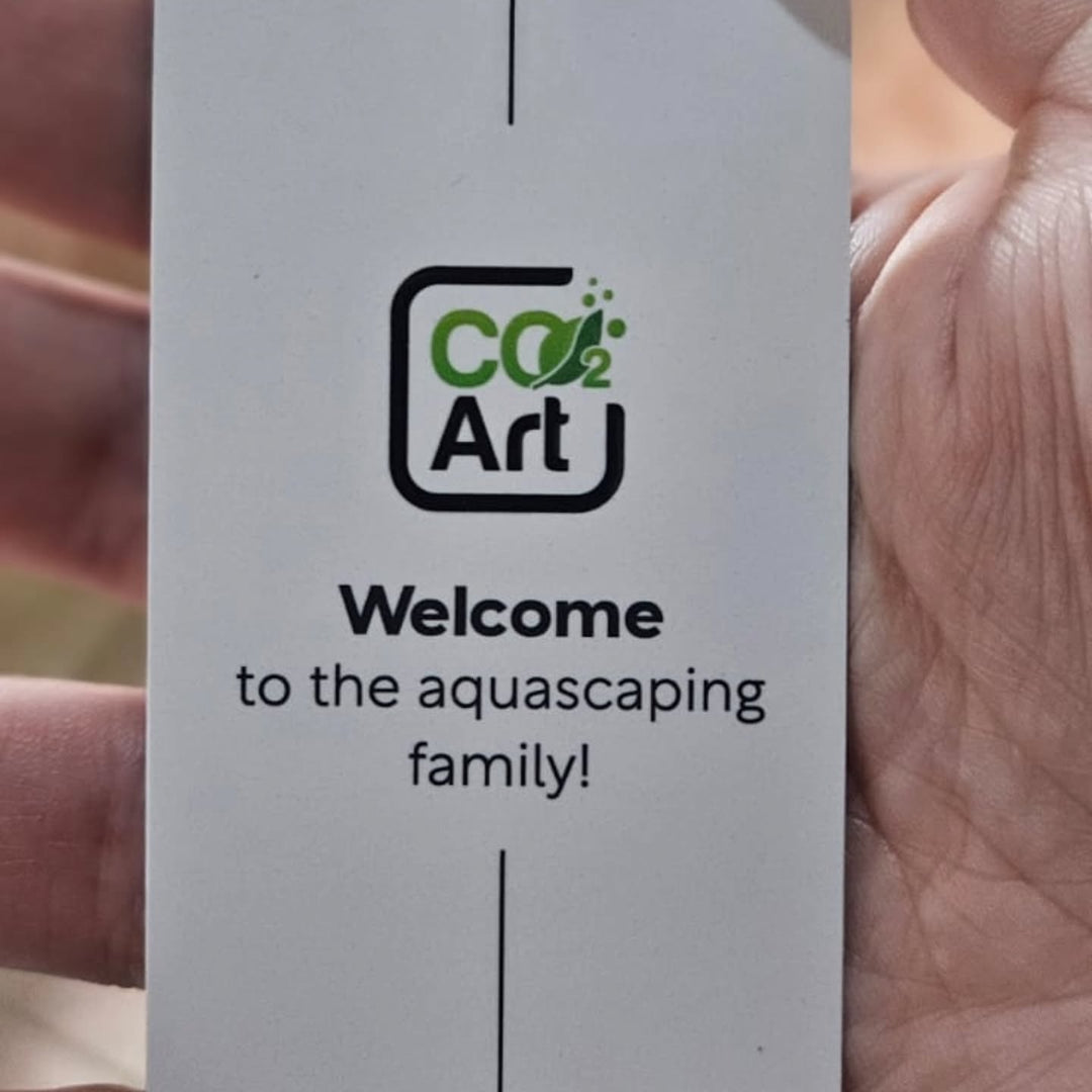 Ανάρτηση στο Instagram από @vale.aquascaper
